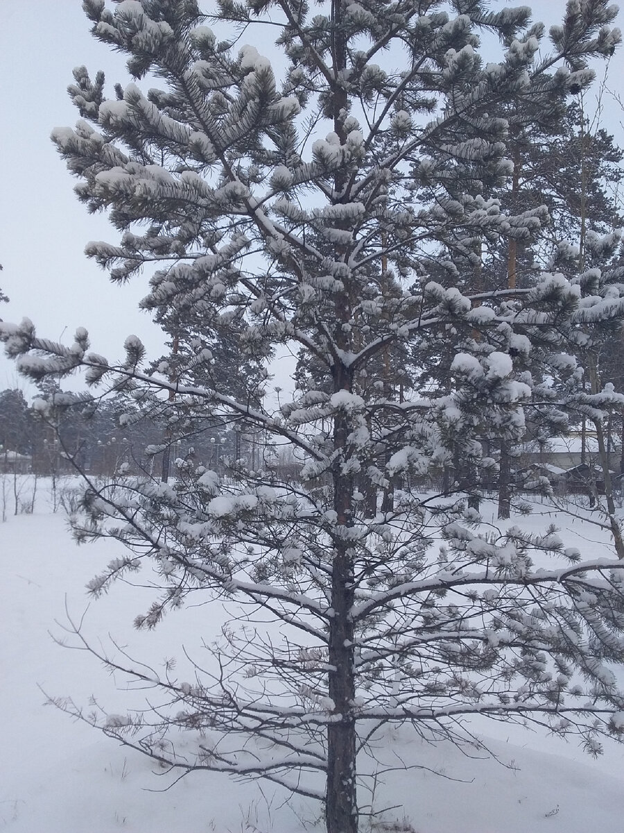 Фото автора.