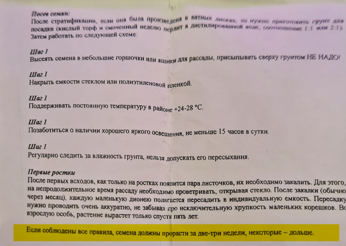 Как нас обманывают с семенами, Венерина Мухоловка🪰 (Дионея) или сорняк? |  