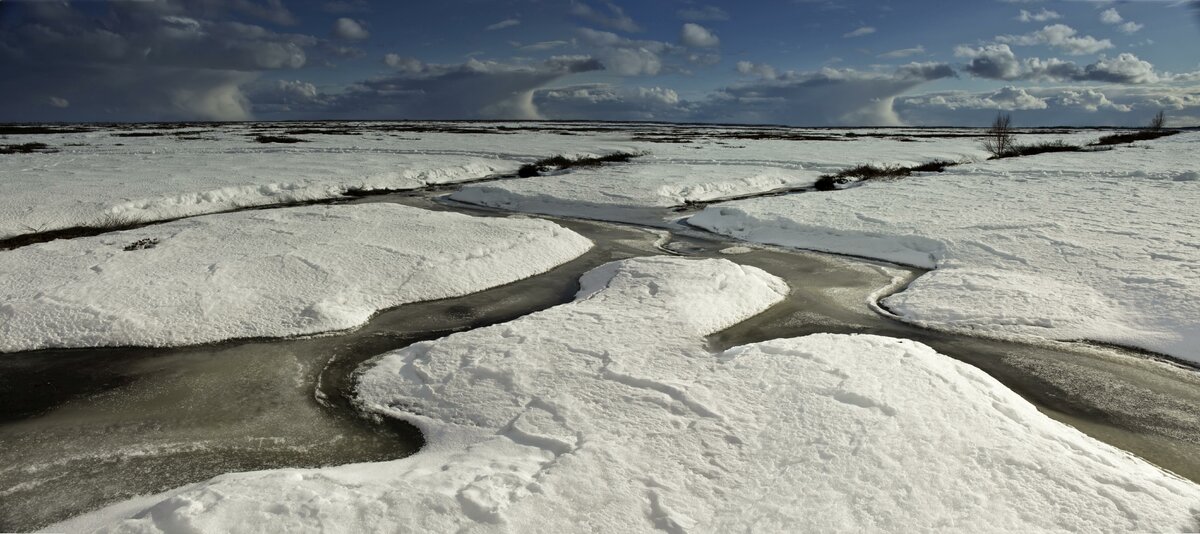 ФОТО: © NIKOLAY GYNGAZOV/GLOBALLOOKPRESS