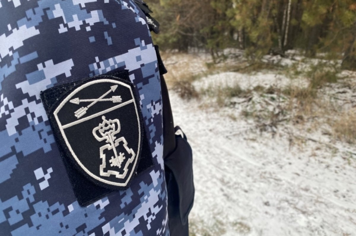    Пропавшую в Томске женщину с ребенком нашли росгвардейцы