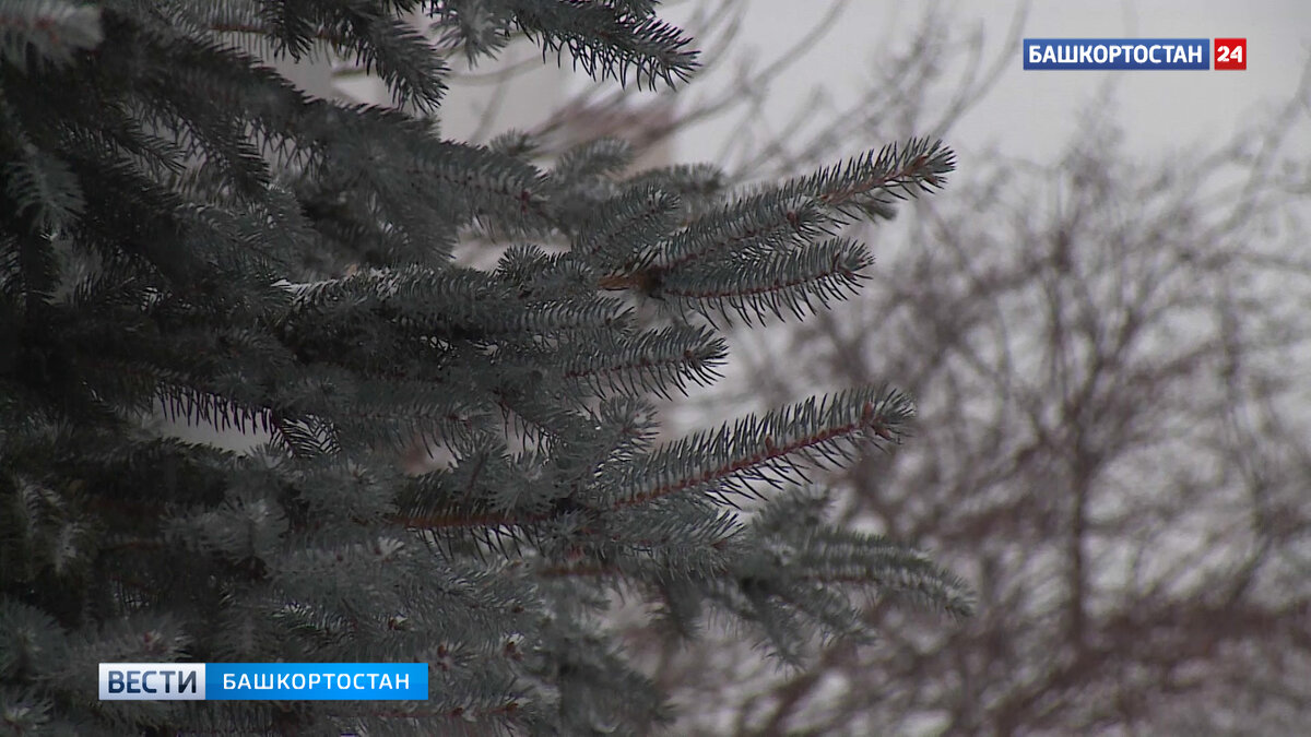    Теплый ноябрь: в Уфе перекрыт абсолютный максимум температуры воздуха