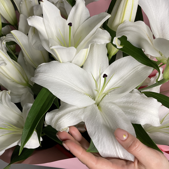 Лилии без запаха. Букет белых лилий. Белые лилии без запаха. Лилии с запахом. Сильно пахнущие лилии