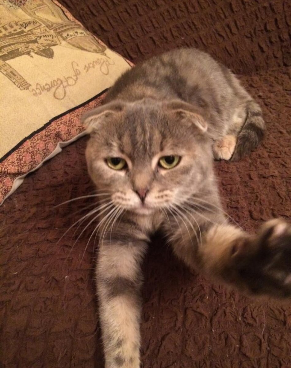 Ну что ты на нас наговариваешь? 