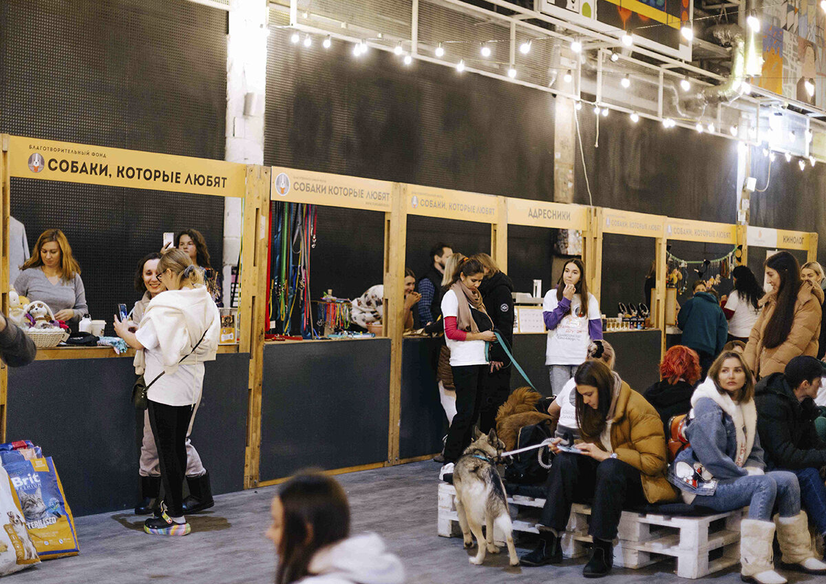 Фото: пресс-служба фестиваля "Собаки, которые любят"