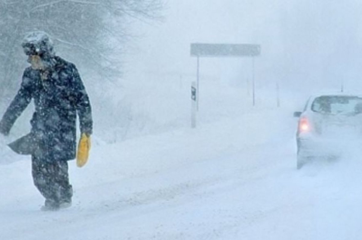    Жителей Псковской области предупреждают о штормовом ветре
