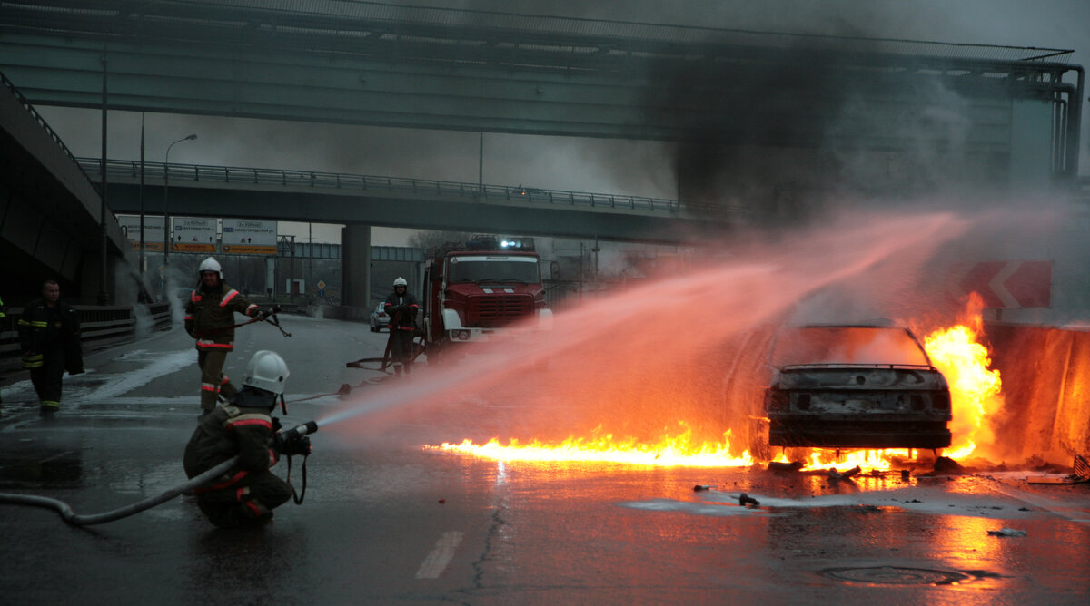 Фото: Наталья Логинова/Globallookpress