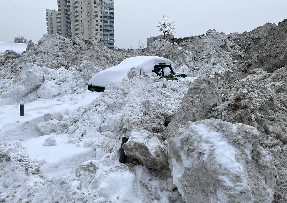 Фото: Московские Ведомости