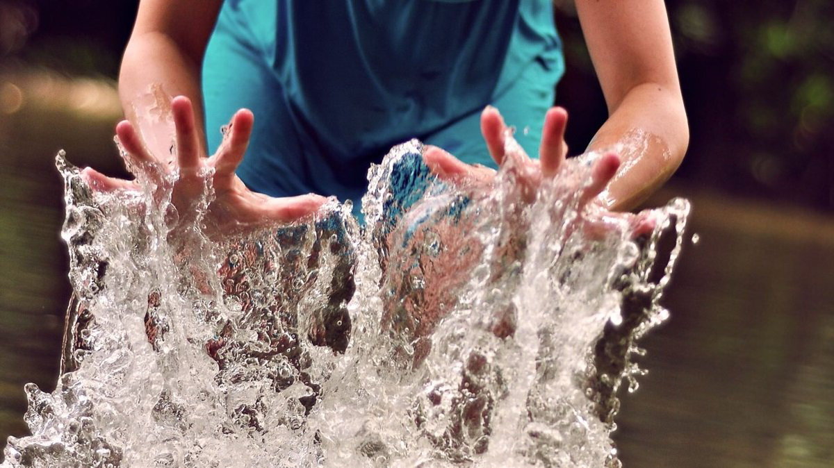 Фото: Яндекс картинки