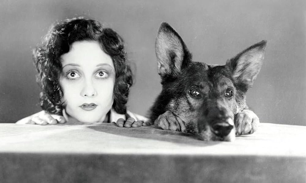 Клер Адамс и Рин Тин Тин в "Там, где начинается север"