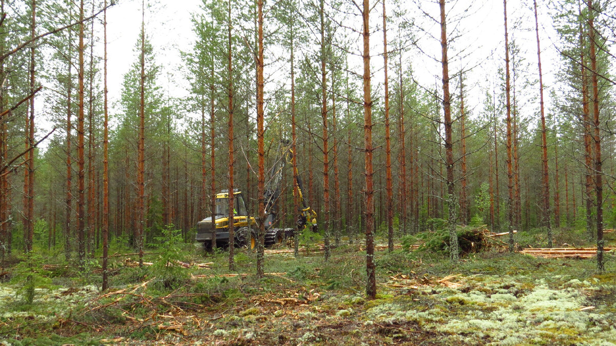 Фото: © Татьяна Хакимулина