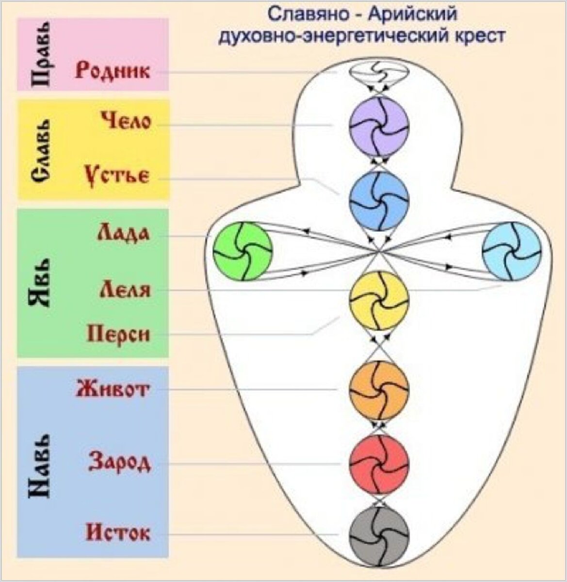 9 организм. Славяно-Арийская система чакр. Чакры человека Славянская система. Славянская чакровая система человека. Славяно-Арийская схема чакр.