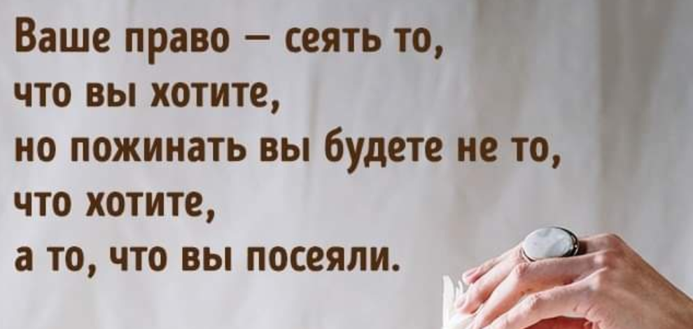 «Причинение добра»: почему не надо ничего делать ради чужого блага, если вас не просили - Лайфхакер