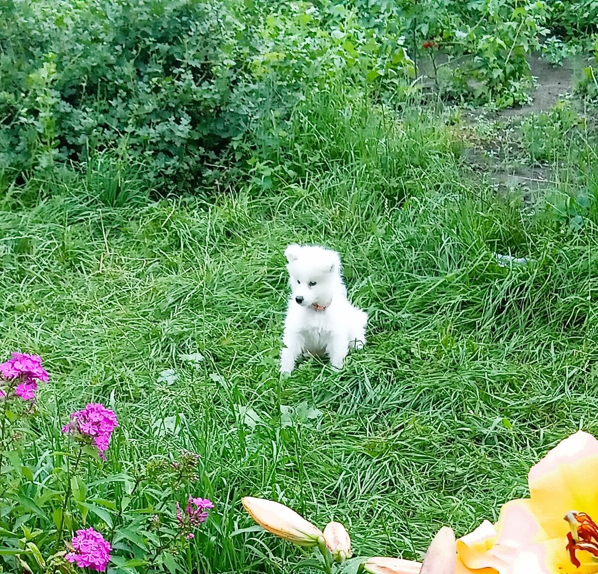 Редкие минуты спокойствия.