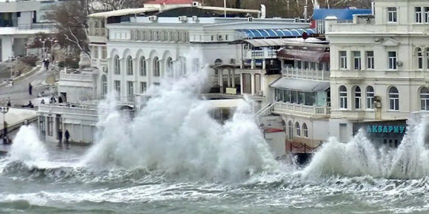    В аквариуме-музее в Севастополе погибло более 800 морских животных. Взято с официального сайта аквариума в Севастополе