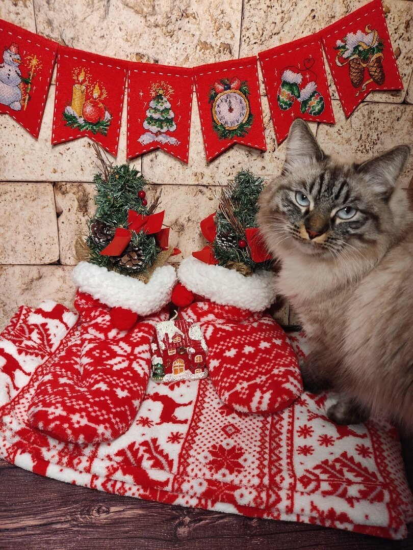 Вышивая мне флажки, дочь словила предновогоднее настроение и купила себе "концертную телогрейку и концертные валенки"