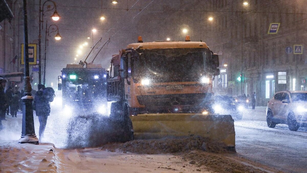 Фото: пресс-служба комитета по благоустройству Санкт-Петербурга