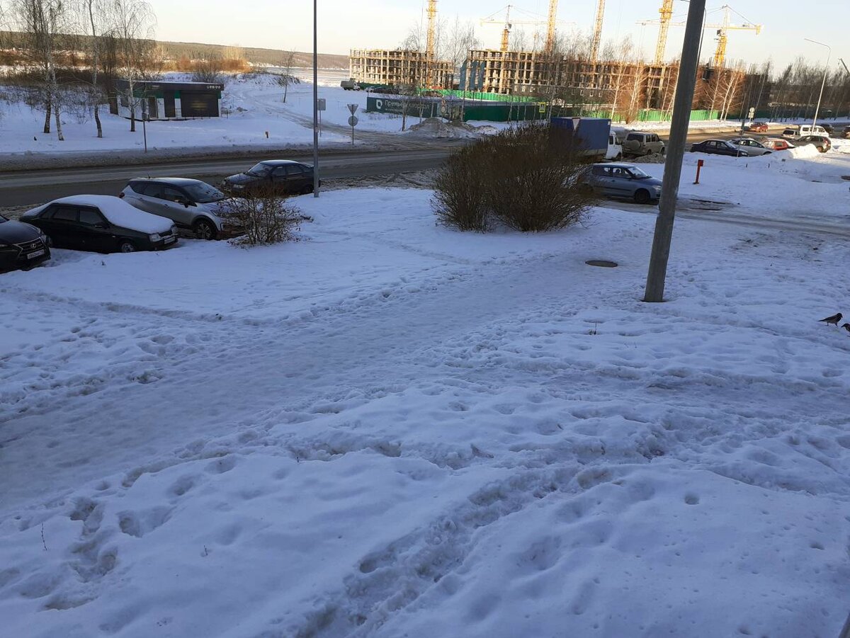 Въезд во двор не очищен от снега, тротуарные дороги покрыты льдом, а рядом  школа | МОО Народный КОНТРОЛЬ | Дзен