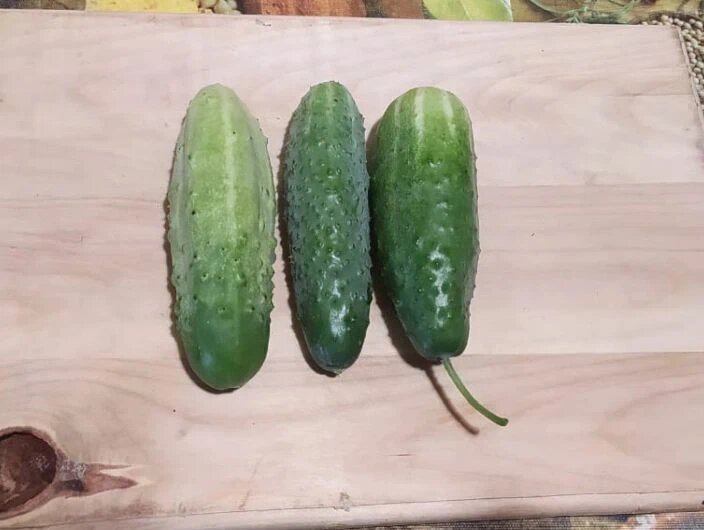 Какую часть огурцов можно есть, а какую обрезать. Где больше всего скапливаются нитраты в овощах, выращенных на огороде