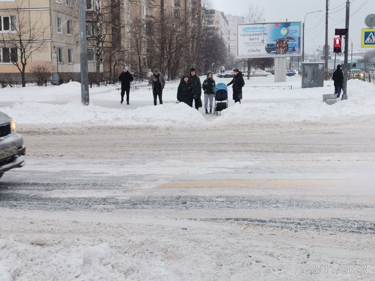 Ух, замело Санкт-Петербург ночью. А снег всё идёт. 🌨️ | Растём вместе с  детьми. Учу, играю, развиваю. 🤗 | Дзен