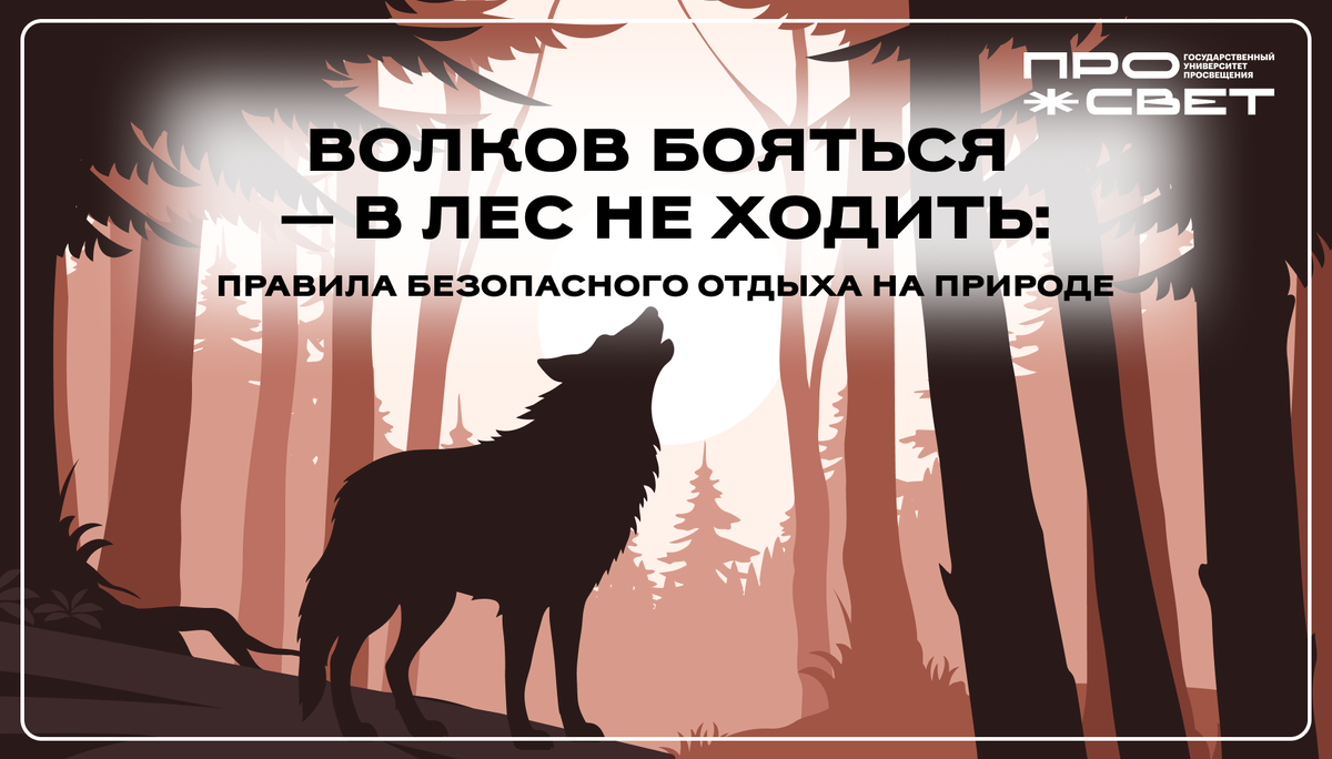 Волков бояться – в лес не ходить: правила безопасного отдыха на природе ?  | Просвет | УНИВЕРСИТЕТ ПРОСВЕЩЕНИЯ | Дзен