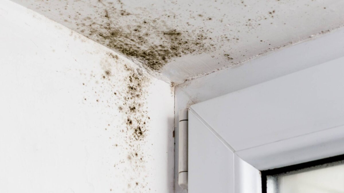 Статья о том, как правильно арендовать жилье в Таиланде