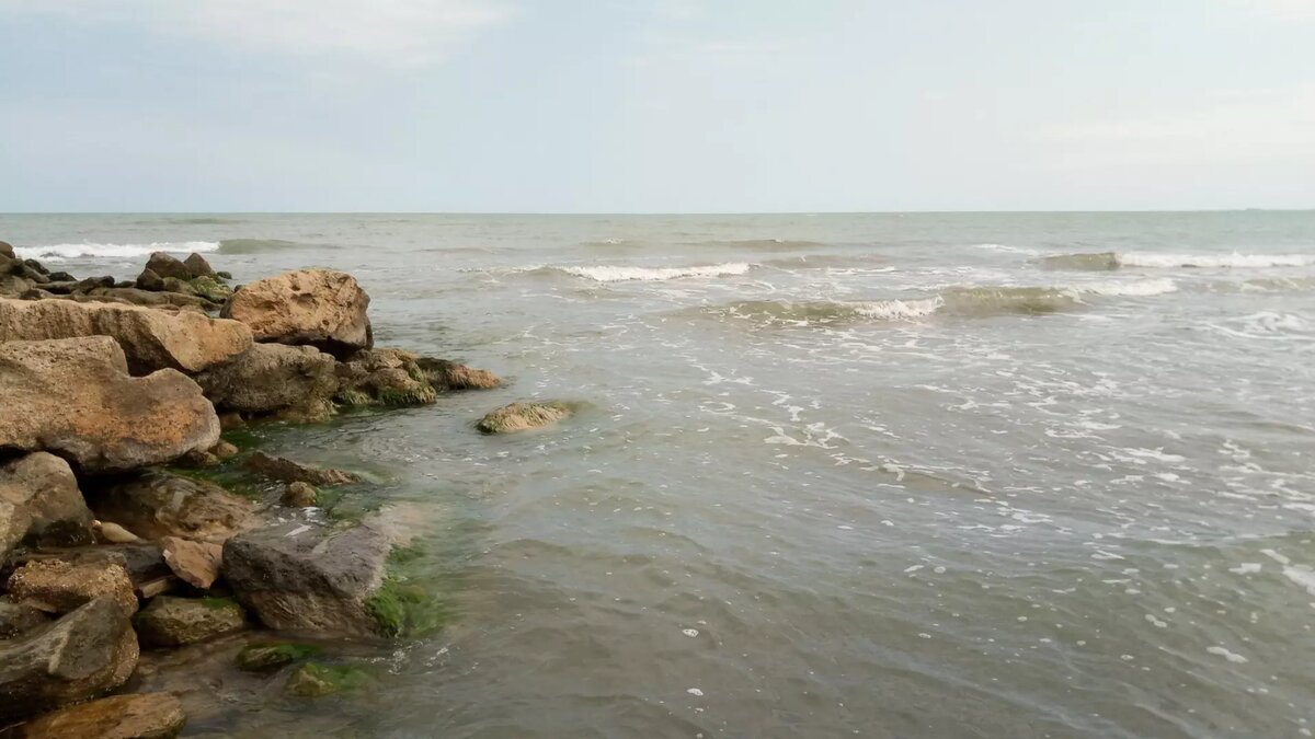     131 происшествие на водоемах Нижегородской области зарегистрировали в 2023 году. 102 человека погибли, из них 10 — это дети. Статистику опубликовала пресс-служба администрации Сарова.