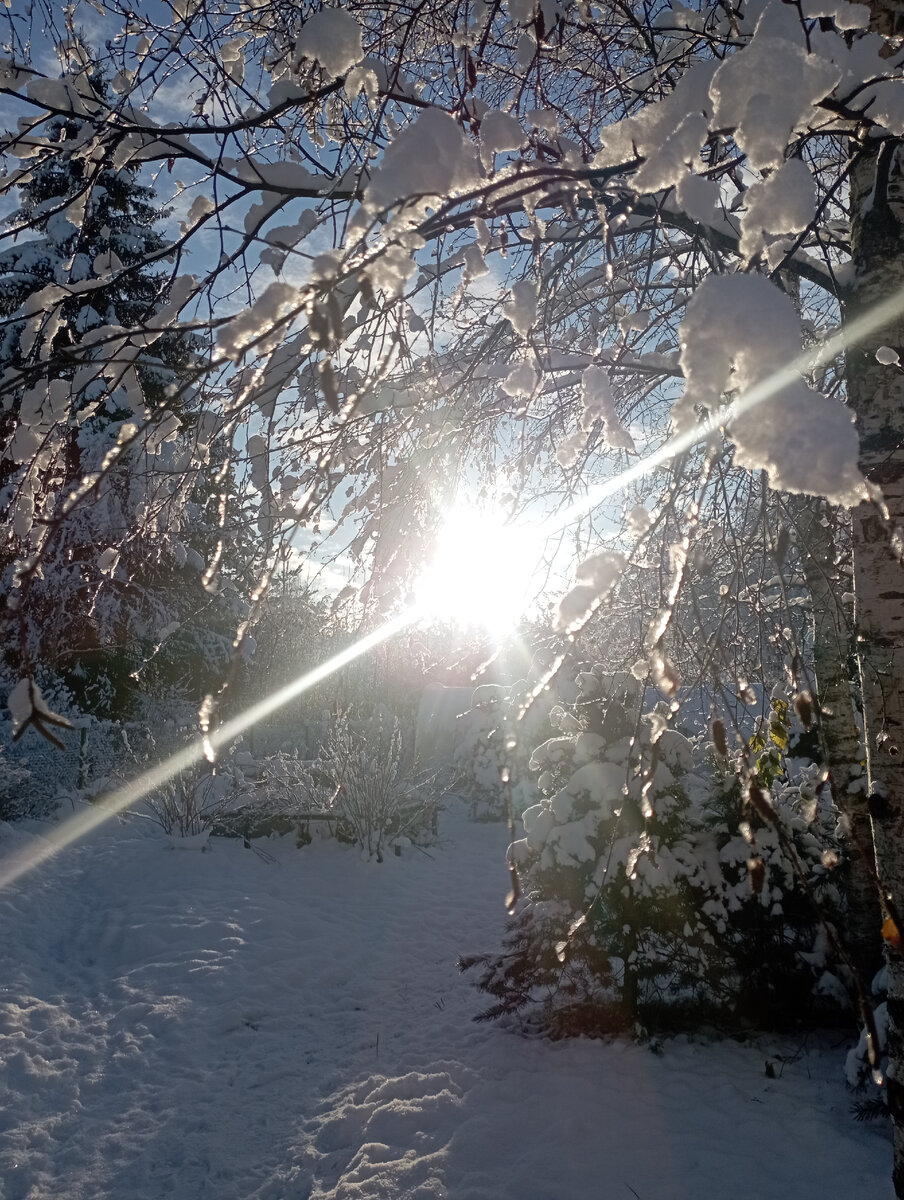 Автор фотографии - Алла Молчанова