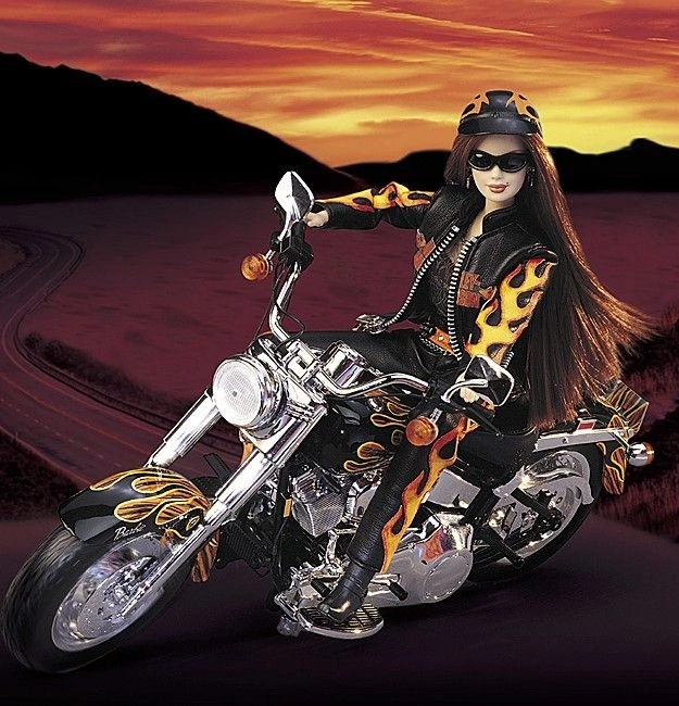 Barbie harley. Barbie Harley Davidson мотоцикл. Мотоцикл для Барби Харлей Дэвидсон. Кукла Барби байкерша Харлей Дэвидсон. Кукла байкер на мотоцикле.