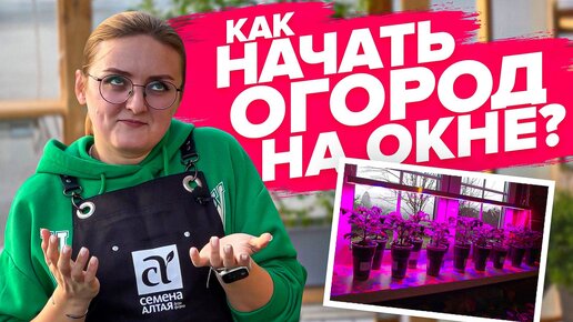 ОГОРОД НА ОКНЕ - это ПРОСТО! Сеем ОГУРЦЫ, РЕДИС и ТОМАТЫ #семенаалтая