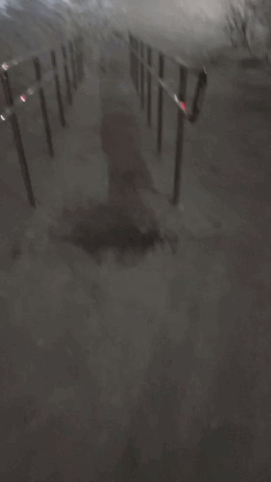 -2