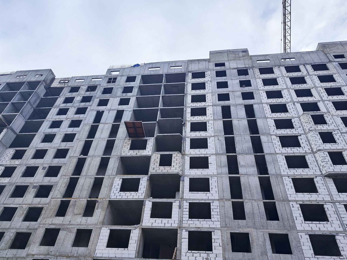 Компания возводит высотки и малоэтажные дома.  Фото: Фото: ФедералПресс / Ксения Кобалия