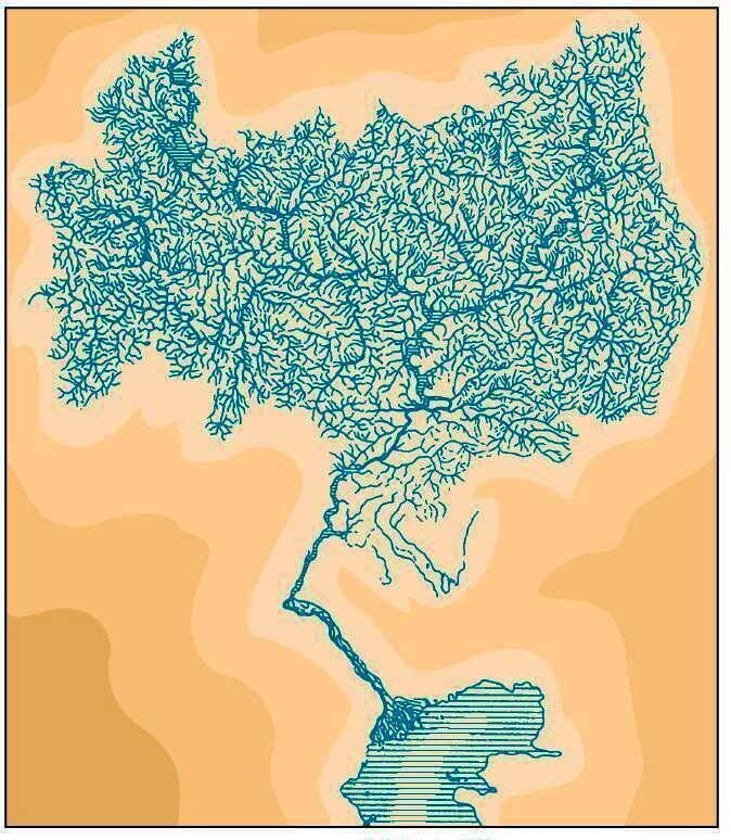 Вот такое дерево из двух великих российских рек и их притоков