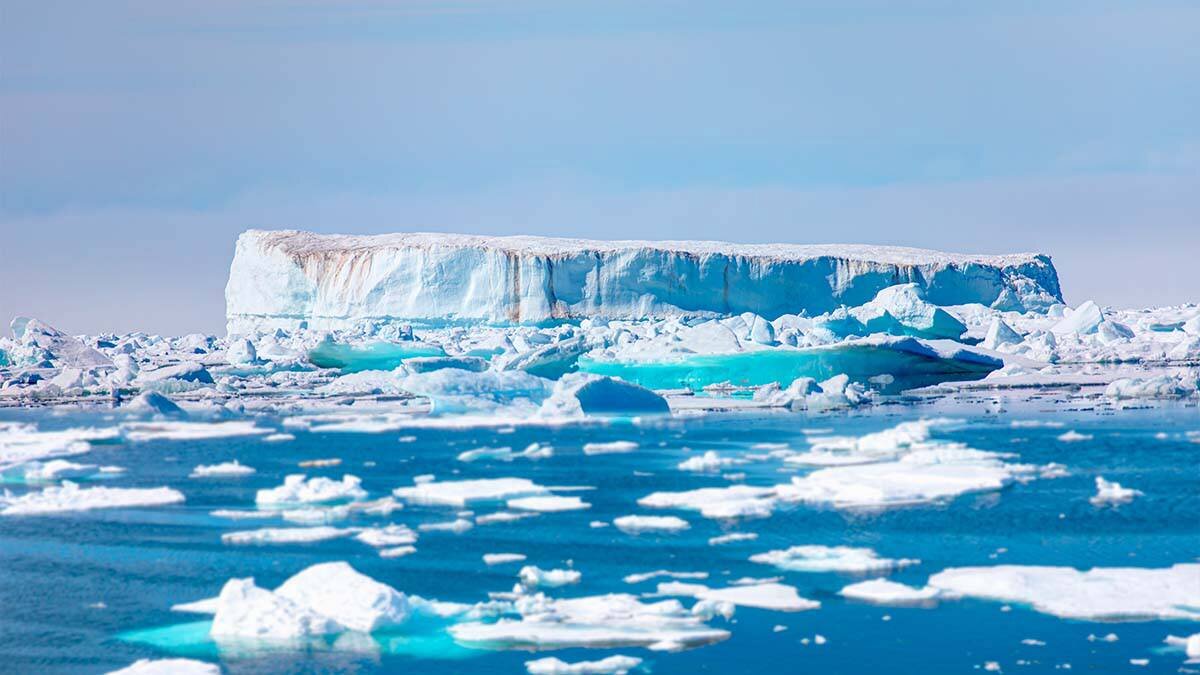    Фото: Shutterstock