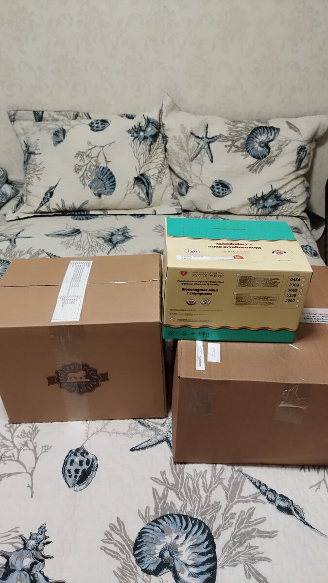 Фотография автора.