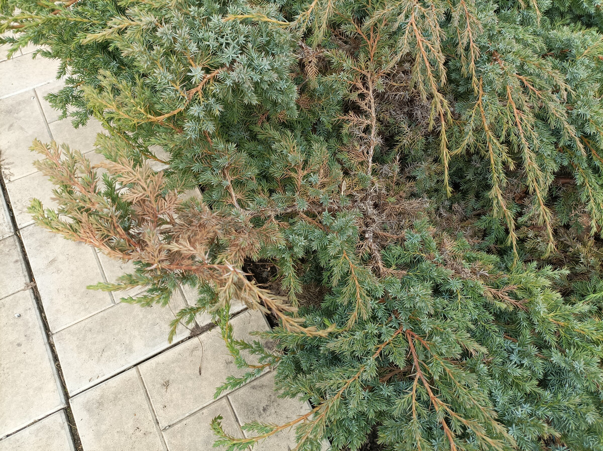 апрель 2022 г