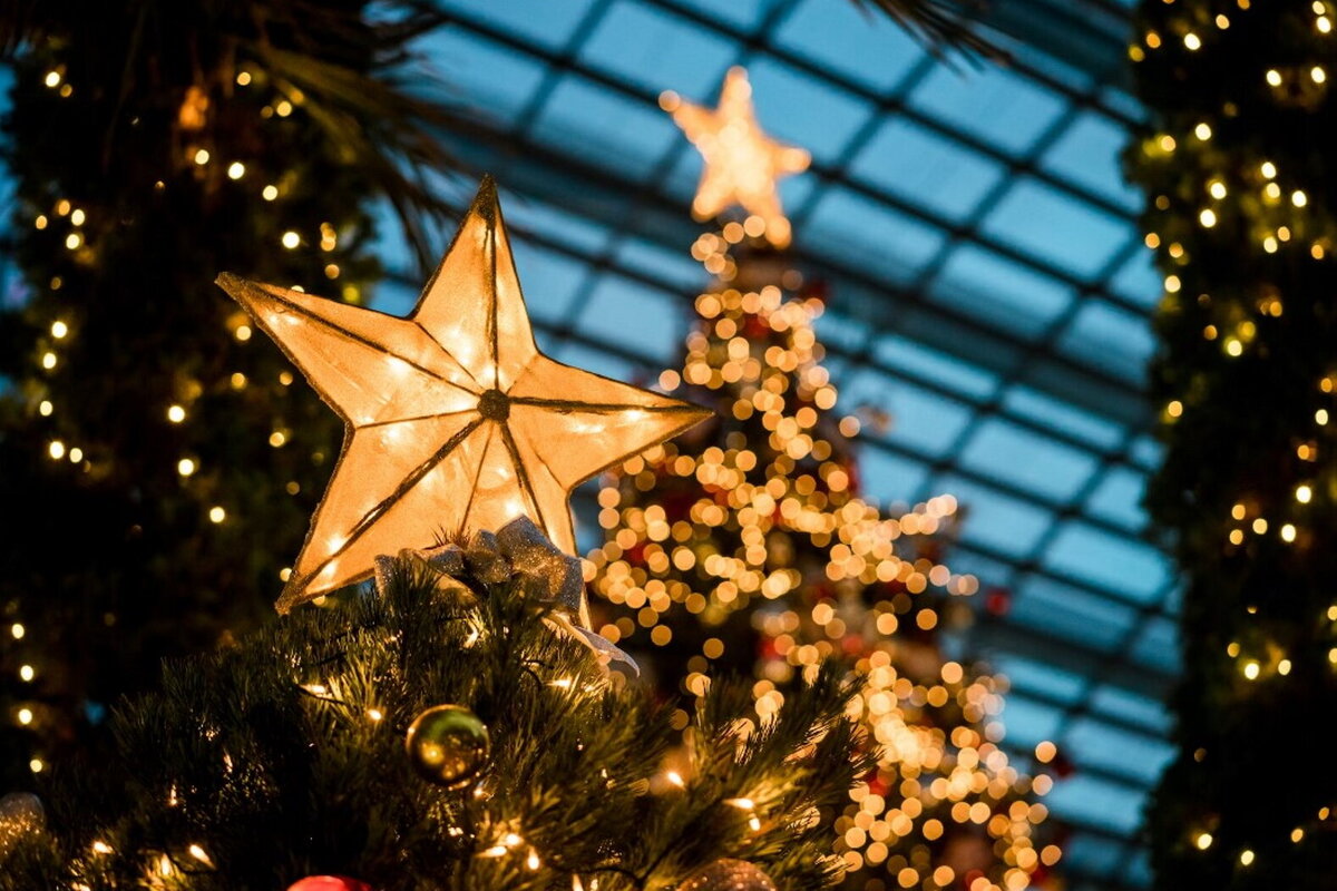     Тысячи метров лент и гирлянд: как выглядит украшенный к Рождеству Белый дом