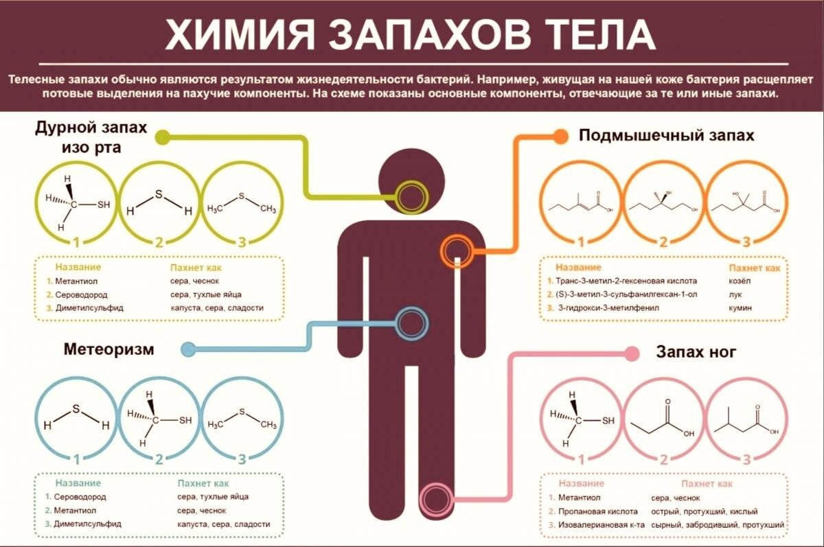 Почему мозг пахнет ванилью