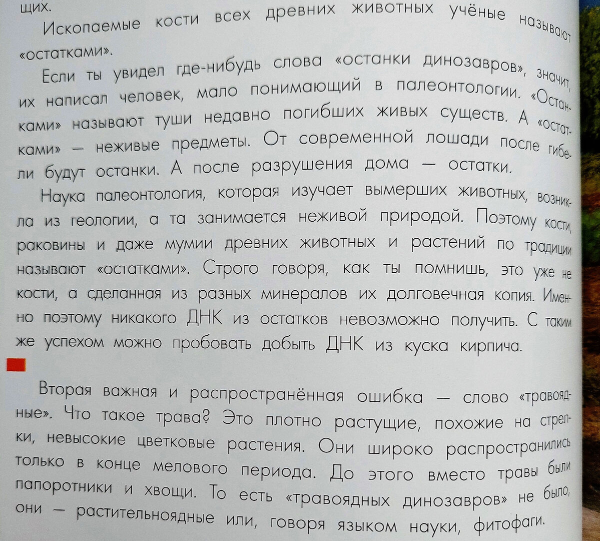 Здесь жили динозавры» — обзор | Алиорам алтайский | Дзен