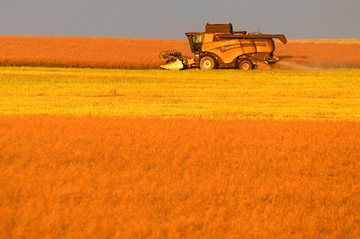    Собранная информация.