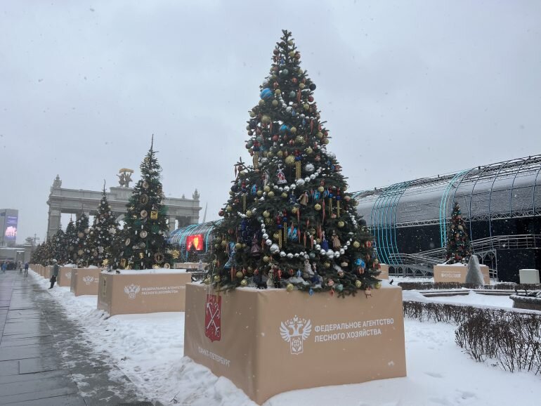    Фото: Мойка78