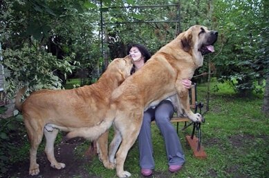 КрОшики))))