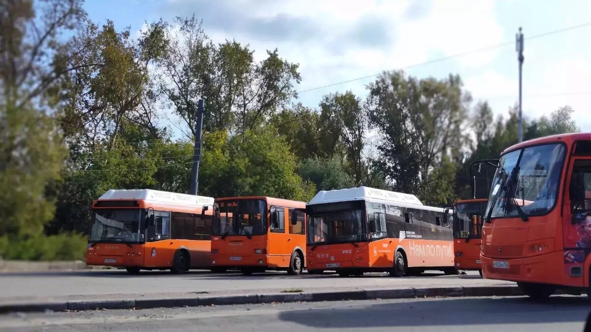     33 новых автобуса поступили в Богородский, Городецкий и Павловский округа, а также в Арзамас. Об этом сообщили в региональном Центре развития транспортных систем.