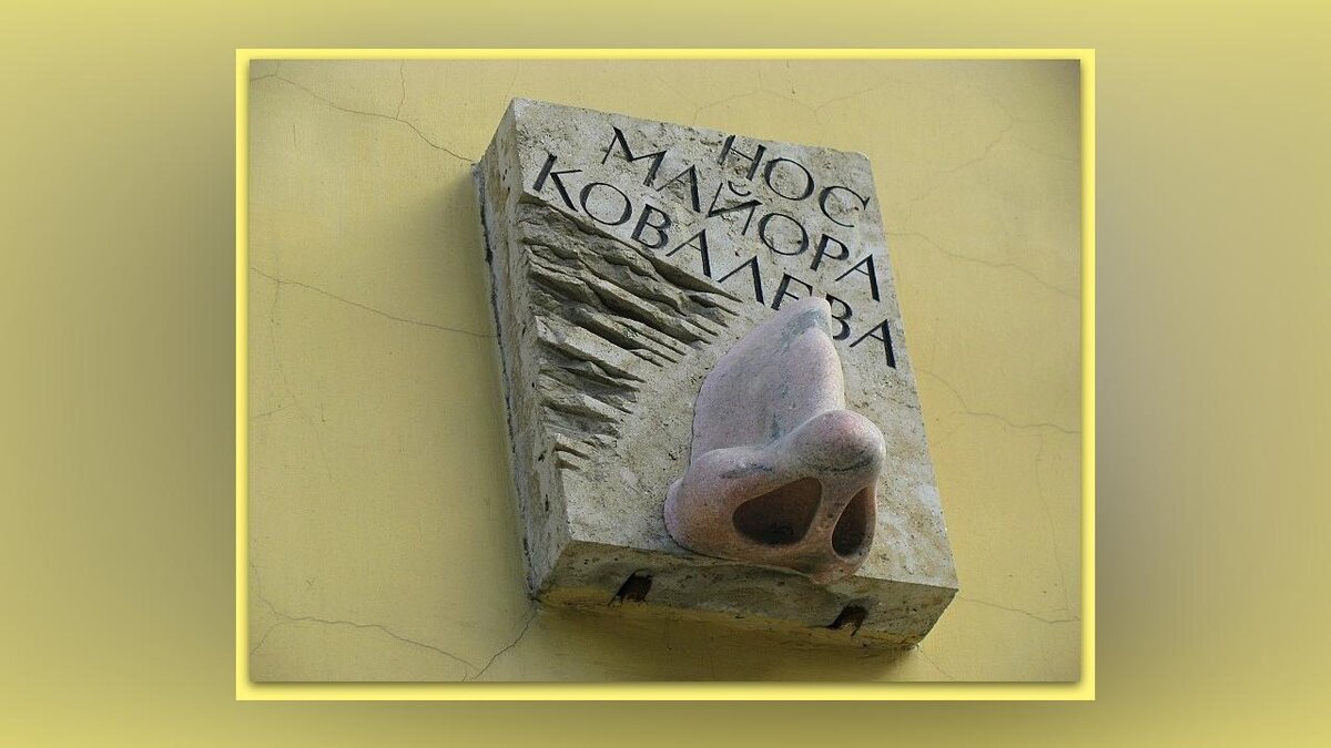 фото: vk.com / Библиотека СПбГУВМ