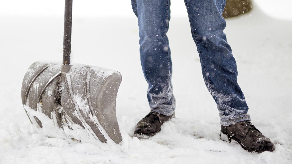 Фото: freepik.com/wirestock