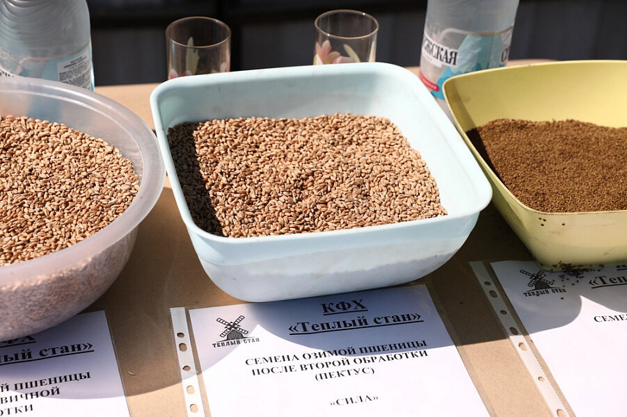 Фото: пресс-служба администрации Краснодарского края