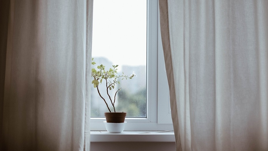 Верить или нет? 10 известных «домашних» примет с практическим смыслом