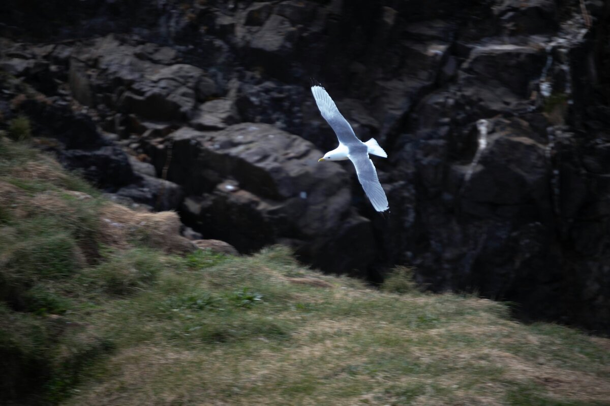 Фото с бесплатного фотоистока https://unsplash.com, автор Bernd 📷 Dittrich