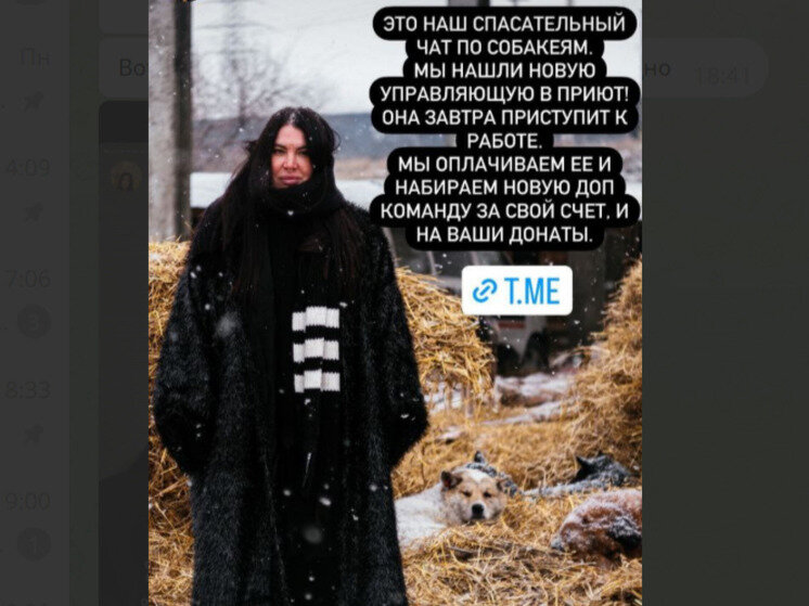 Расписание выставок на 2020 год: