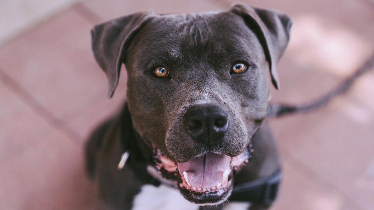 Фото: unsplash.com