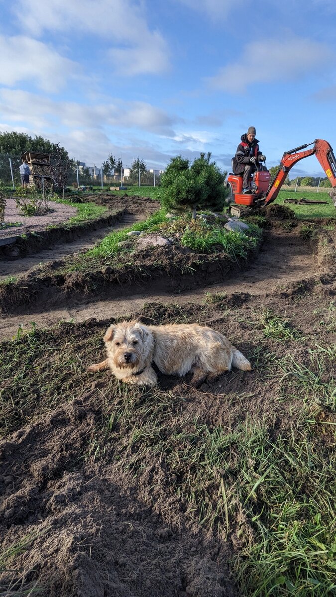 Помощник